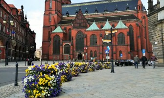 Legnica blüht wieder auf!