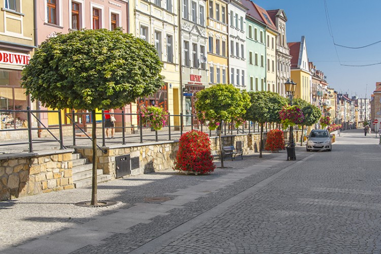 zlotoryja_web_4