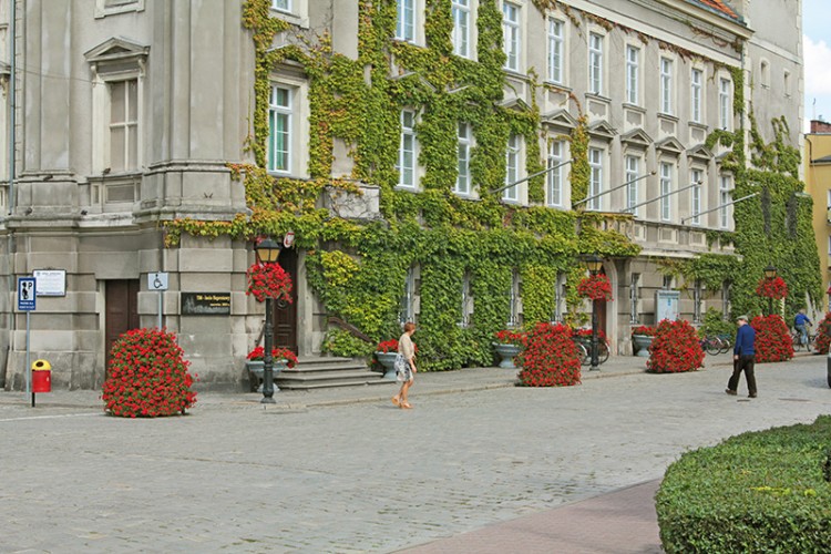 Szprotawa