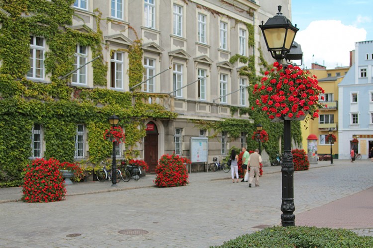 Szprotawa